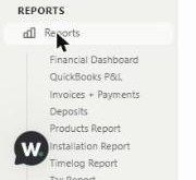The Reports submenu in the left sidebar