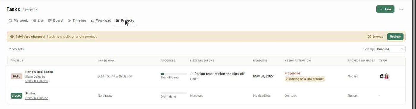The Projects view with phase, progress, next milestone, deadline, needs attention, manager and team